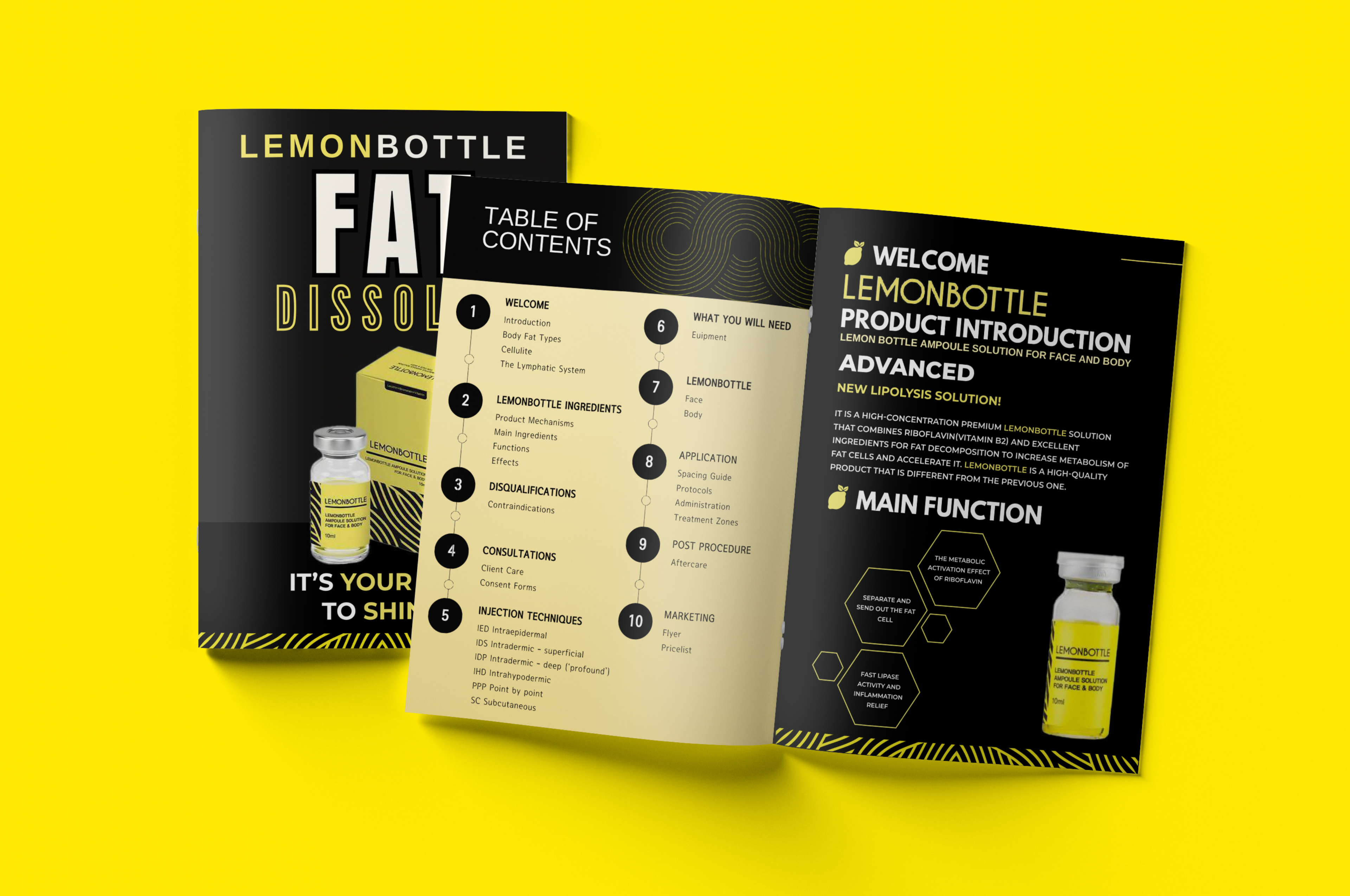 Aesthetics fat dissolver Lemon Bottle Instruction Manual